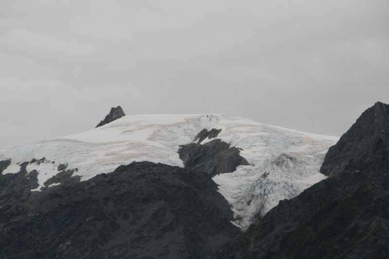 Nieuw-Zeeland 2011 - 1415